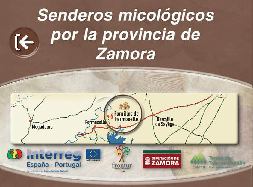 Nueva aplicación móvil con senderos micológicos de Zamora